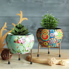 Plant Pots